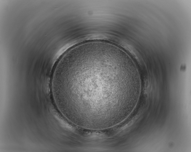 X0000092090786200709191245