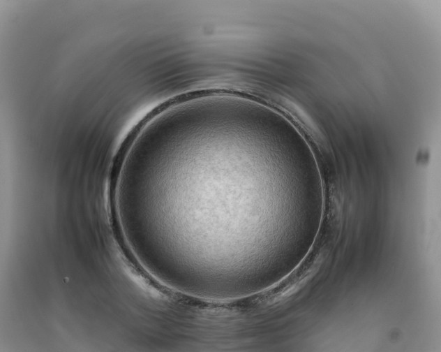 X0000092090788200709191245