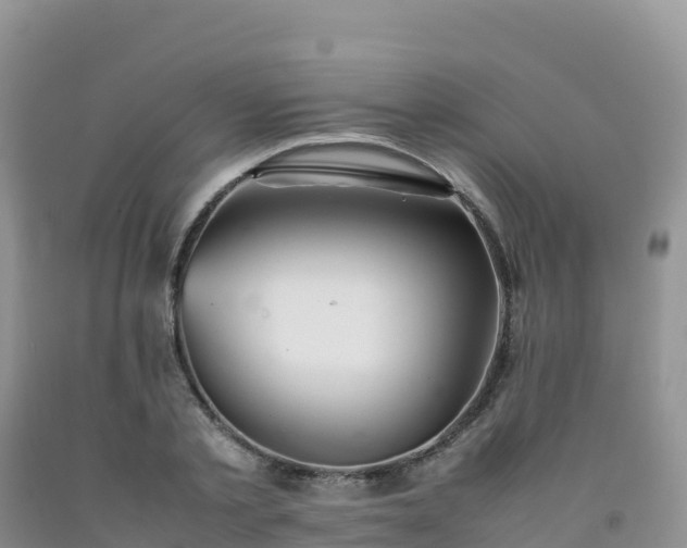 X0000092090789200709191245