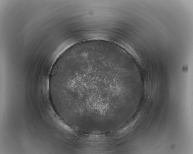 X0000092090790200709191245