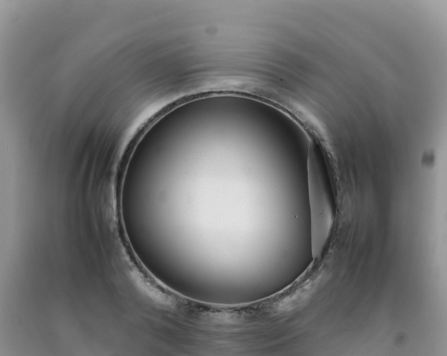 X0000092090792200709191244