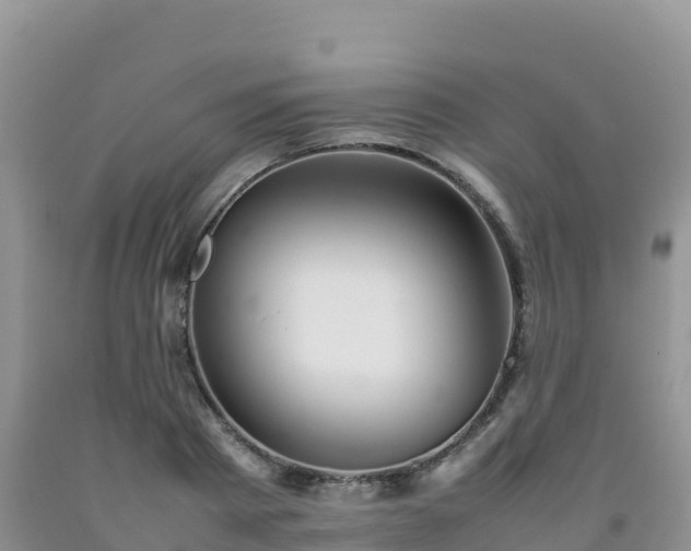 X0000092090793200709191244