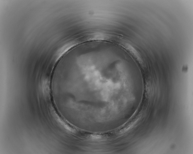 X0000092090794200709191244