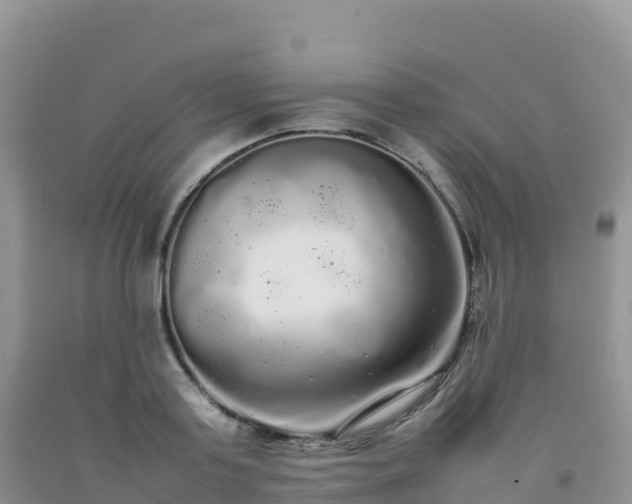X0000092090795200709191244