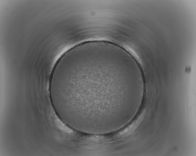 X0000092090797200709191244