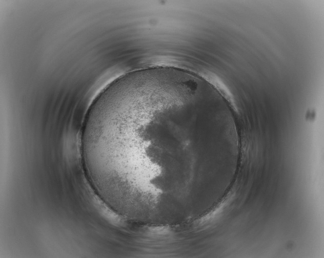 X0000092090798200709191244