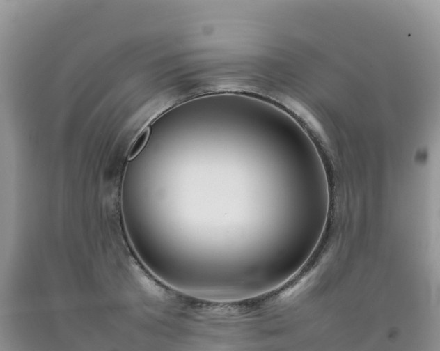 X0000092090801200709191244