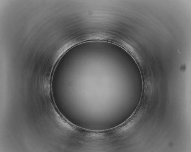 X0000092090802200709191244