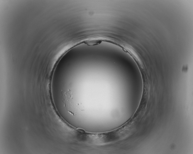 X0000092090805200709191244