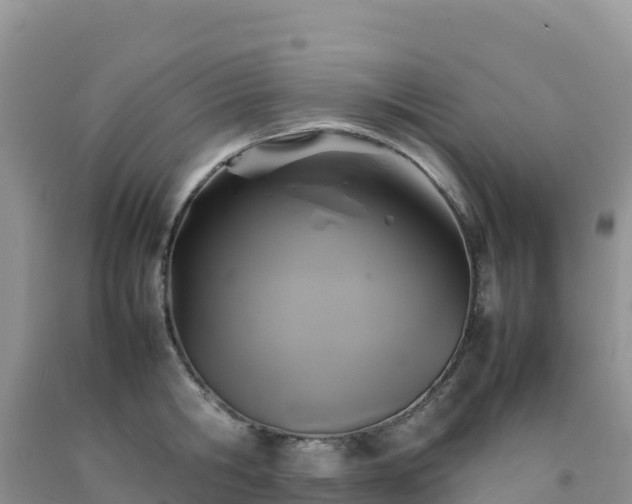 X0000092090806200709191244