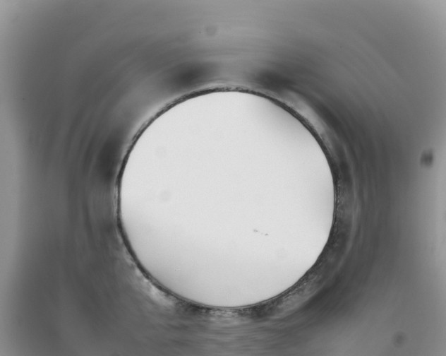 X0000092090807200709191244