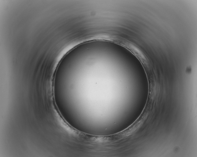 X0000092090808200709191244