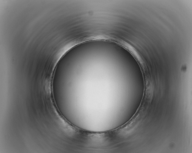 X0000092090810200709191244