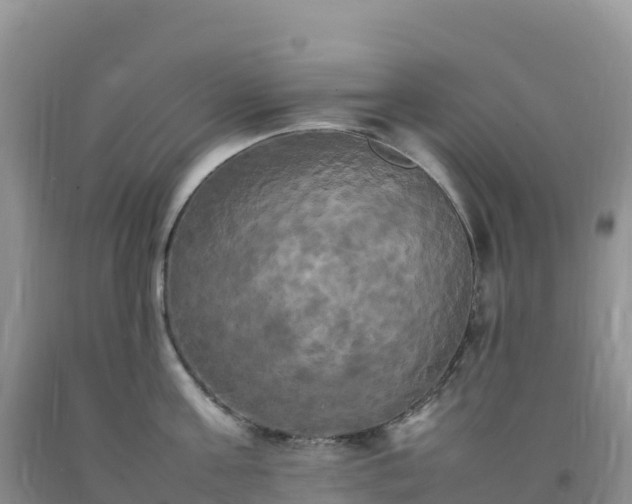 X0000092090811200709191244