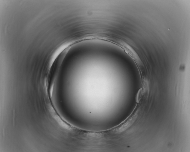 X0000092090812200709191244