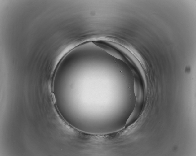 X0000092090813200709191244
