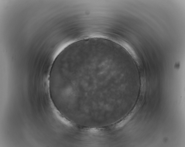 X0000092090814200709191244