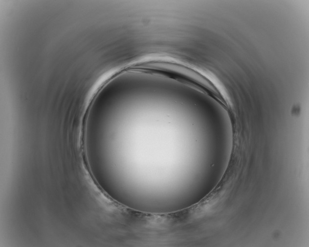 X0000092090815200709191244