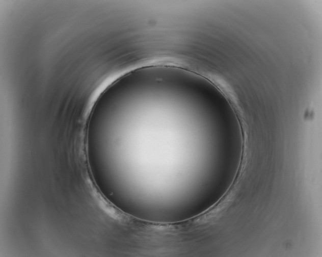 X0000092090816200709191244