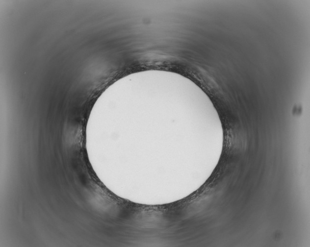 X0000092090820200709191243
