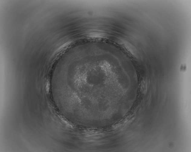 X0000092090821200709191243