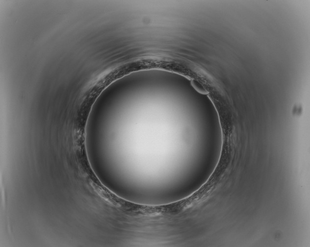 X0000092090822200709191243