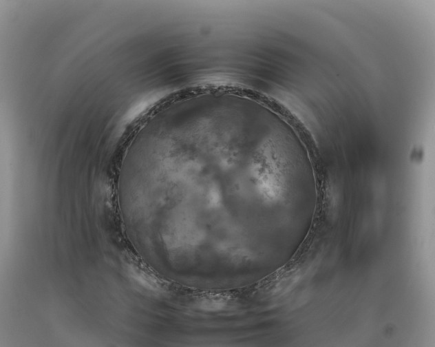 X0000092090823200709191243