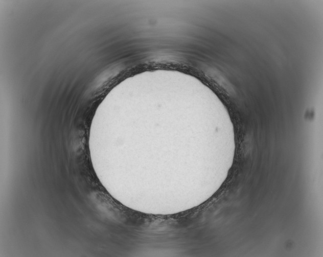 X0000092090824200709191244