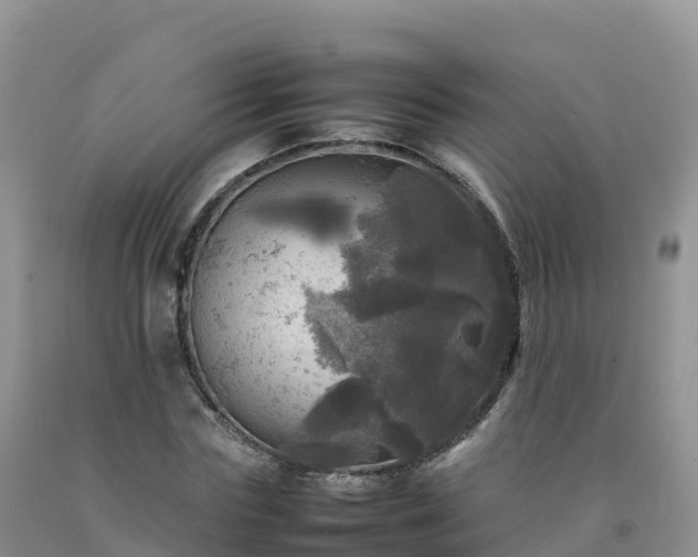 X0000092090827200709191244