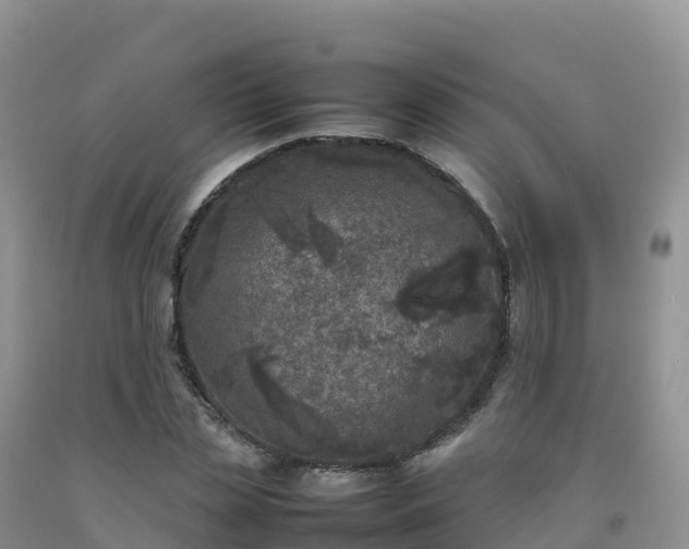 X0000092090829200709191244