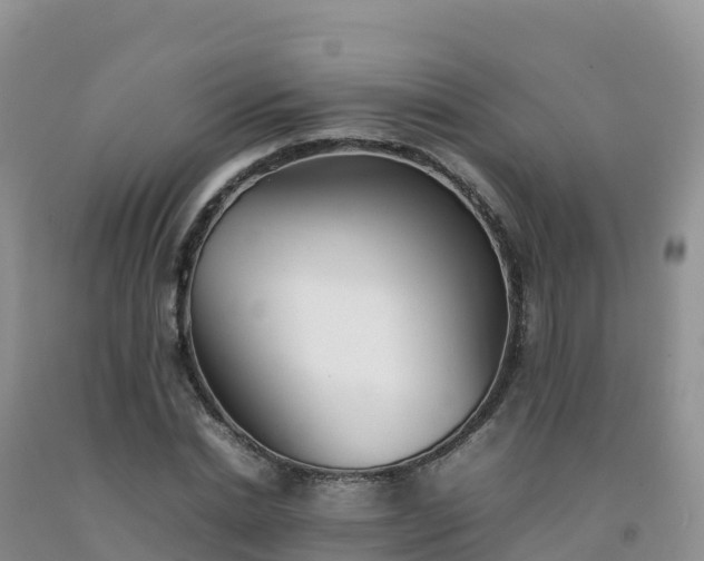 X0000092090830200709191244
