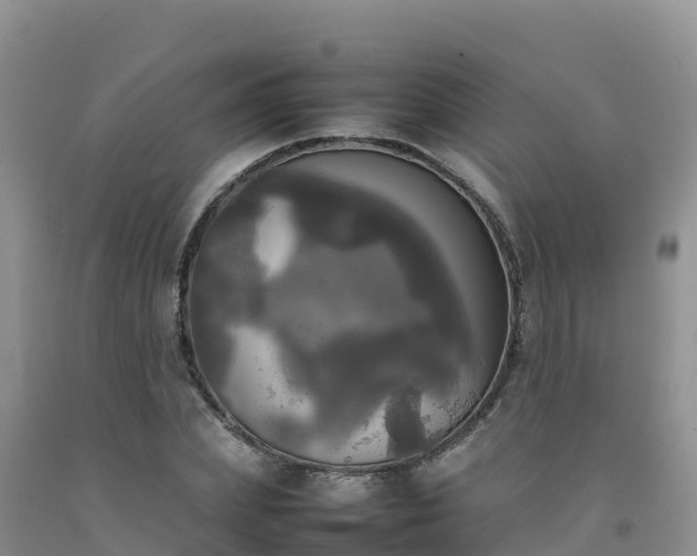 X0000092090831200709191244