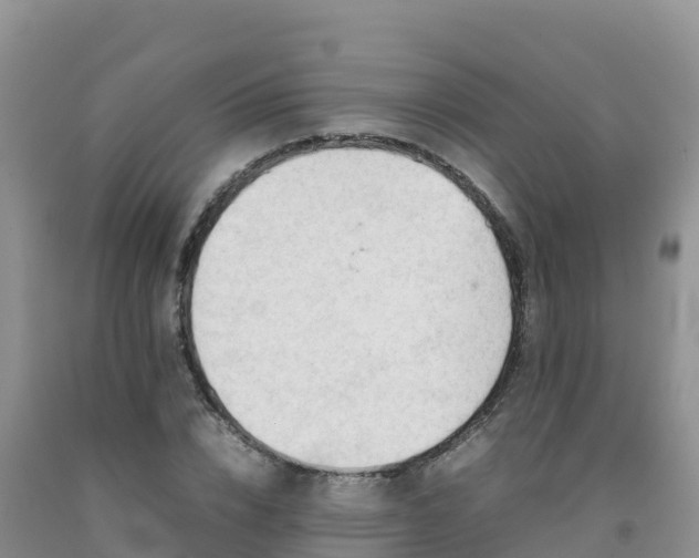 X0000092090832200709191244