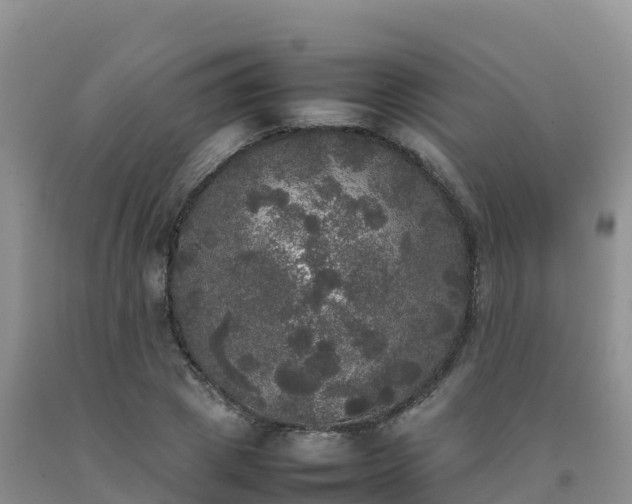 X0000092090833200709191244