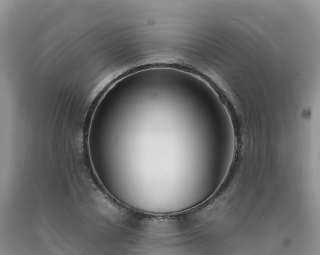 X0000092090834200709191244