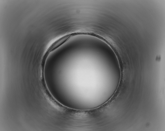 X0000092090838200709191244