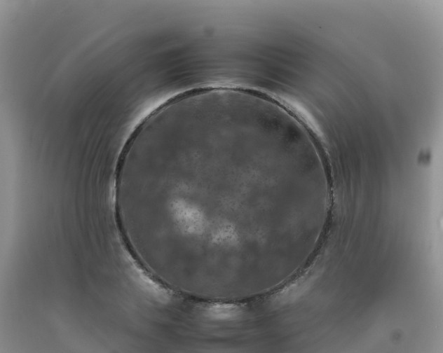 X0000092090839200709191244