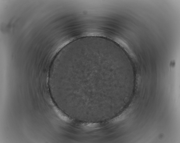X0000092090841200709191244