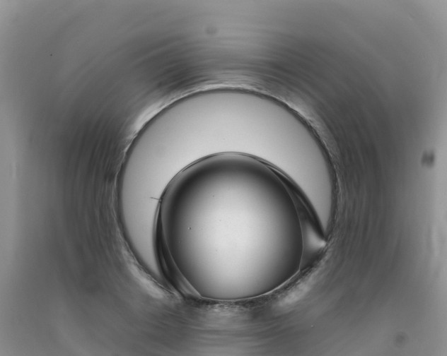 X0000092090842200709191244