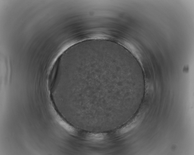 X0000092090843200709191244