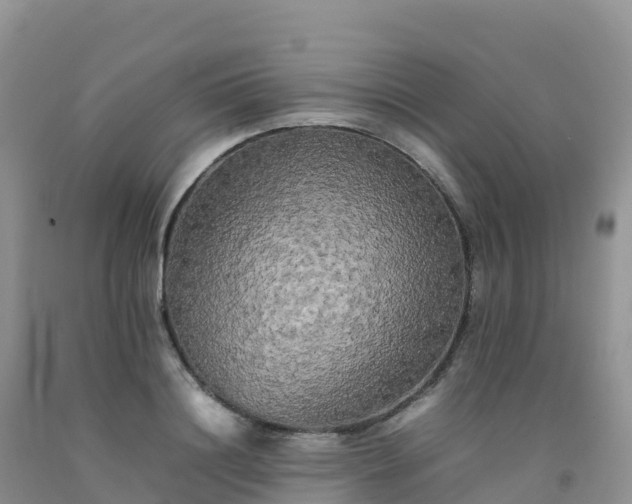 X0000092090844200709191244