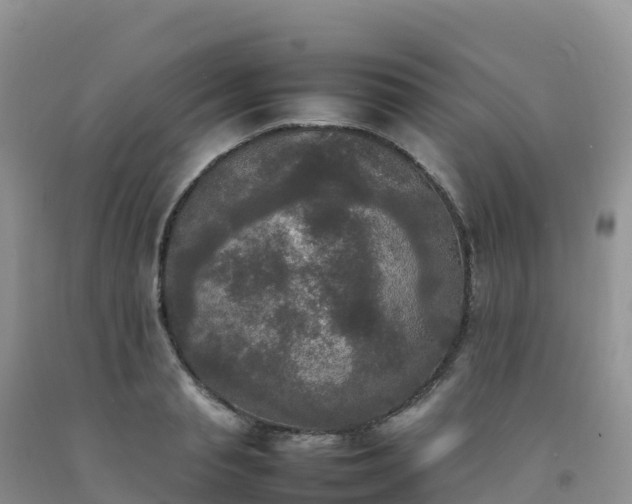 X0000092090845200709191244