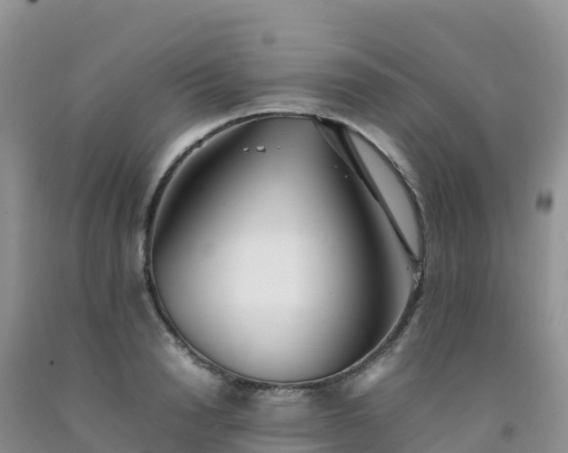 X0000092090846200709191244