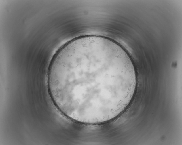 X0000092090848200709191244