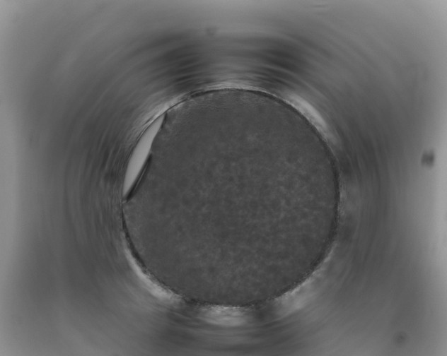 X0000092090849200709191244