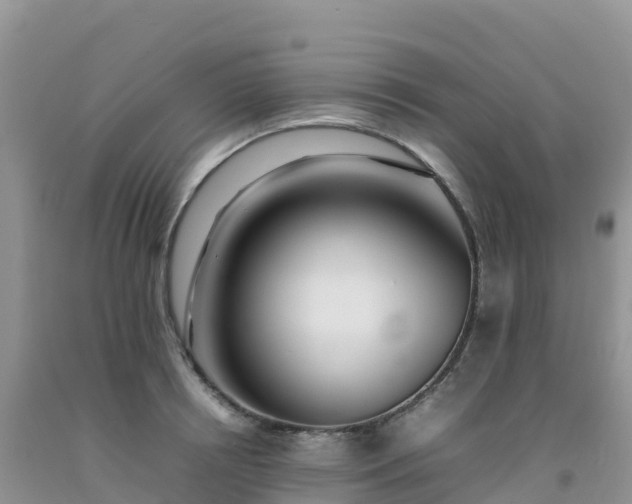 X0000092090850200709191244