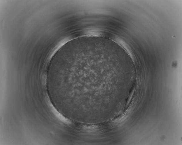 X0000092090851200709191244