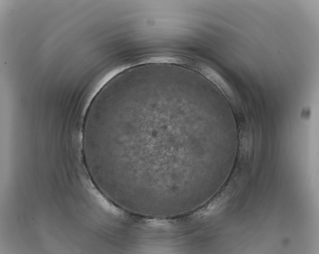 X0000092090852200709191244