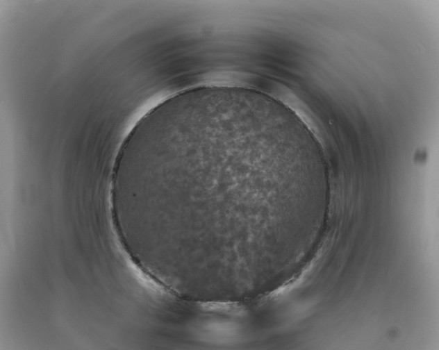 X0000092090853200709191244
