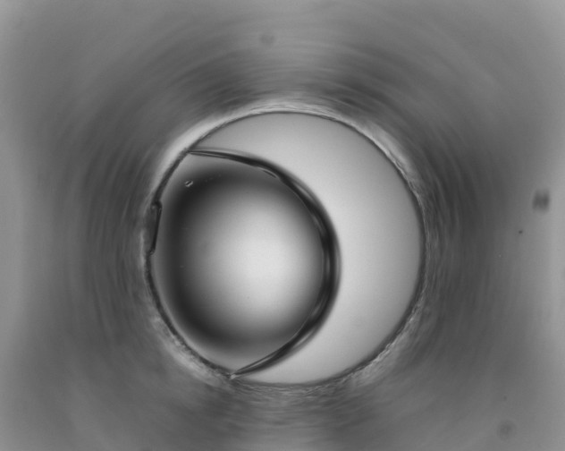 X0000092090854200709191244